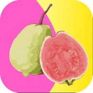 榴莲视频最新版
