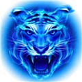 魅影5.3直播app免费下载